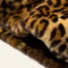 yellowstone beth dutton cheetah print brown coat close-up