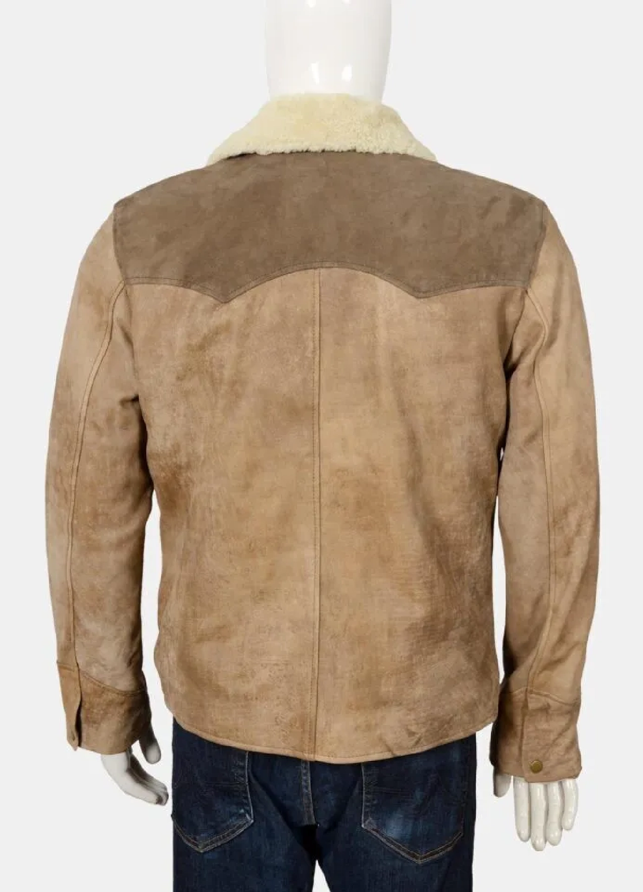 yellowstone series kayce dutton brown suede leather jacket back view