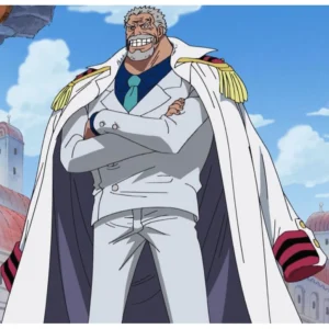 One Piece Marine Admiral Justice Coat