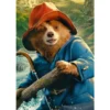 blue paddington coat